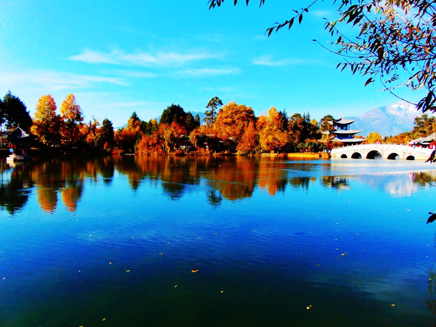 DSC01259_conew1_副本.jpg