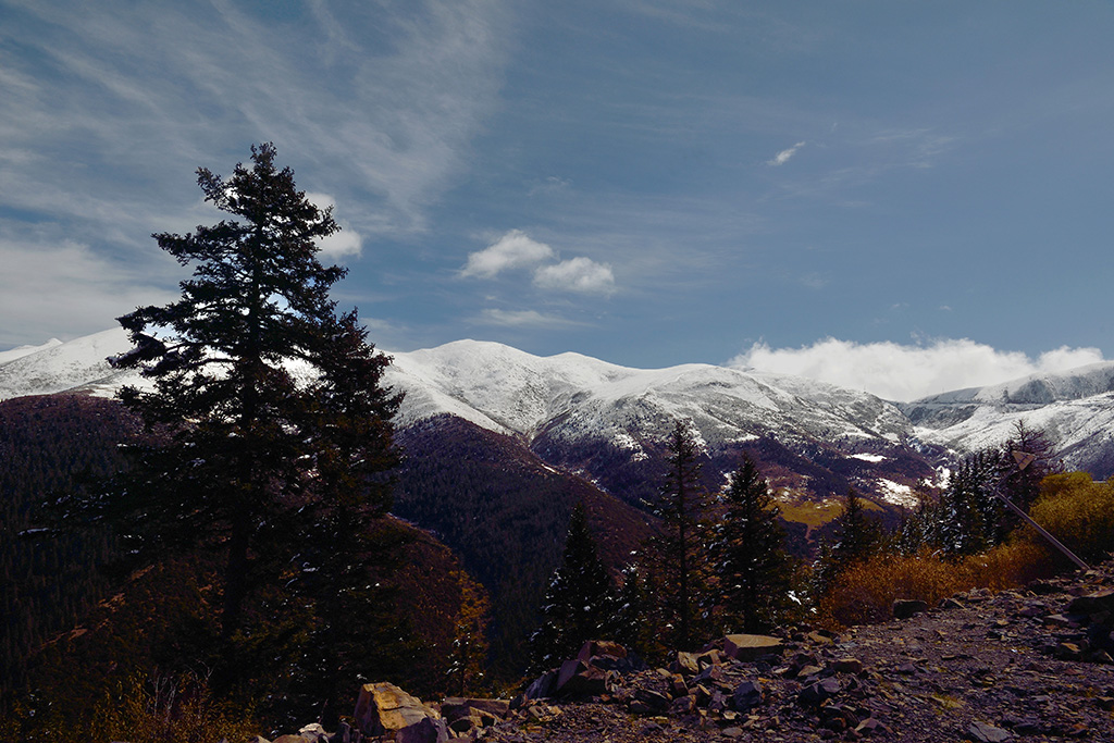 DSC_6205s.jpg