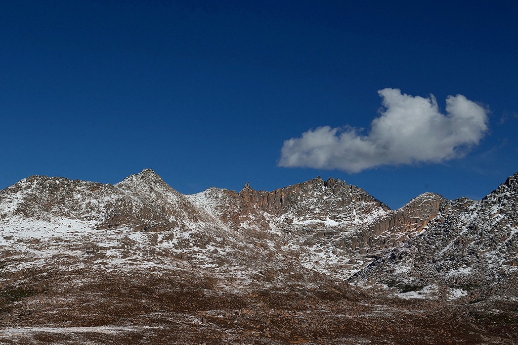 DSC_6295s.jpg