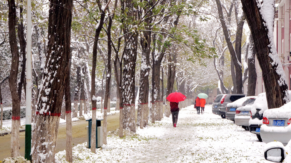 DSC07363.jpg雪.jpg