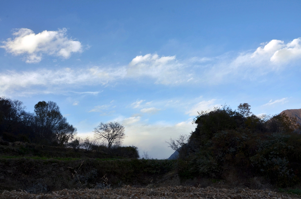 DSC_5930.jpg