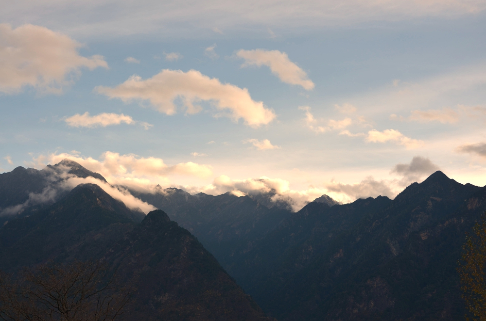 DSC_5947.jpg