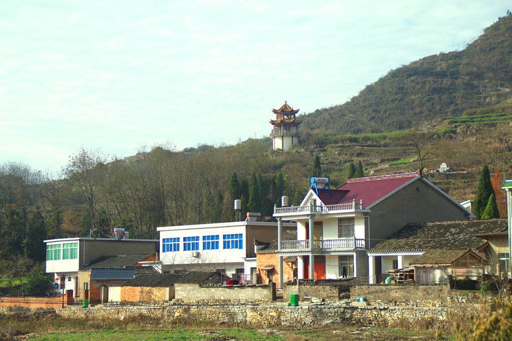DSC_0029_副本.jpg