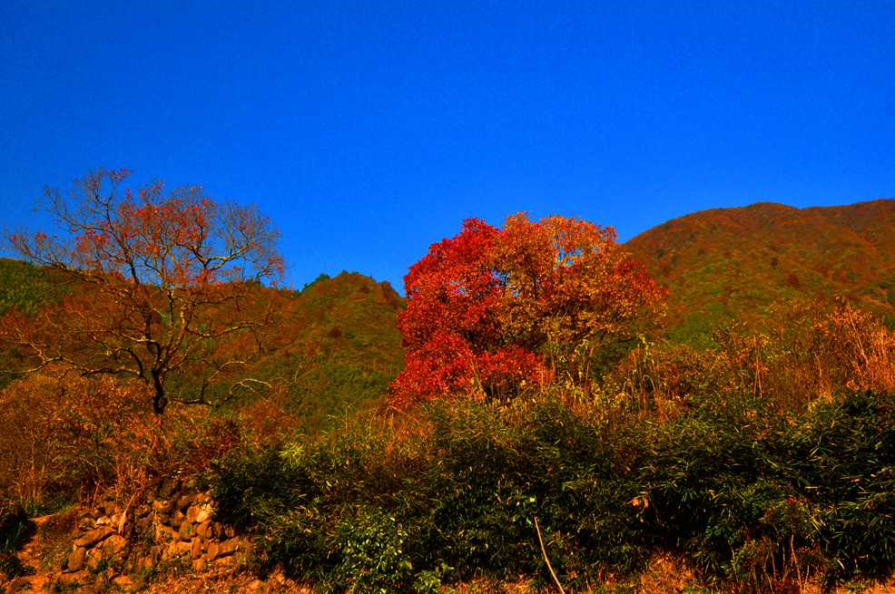 DSC_0048.JPG