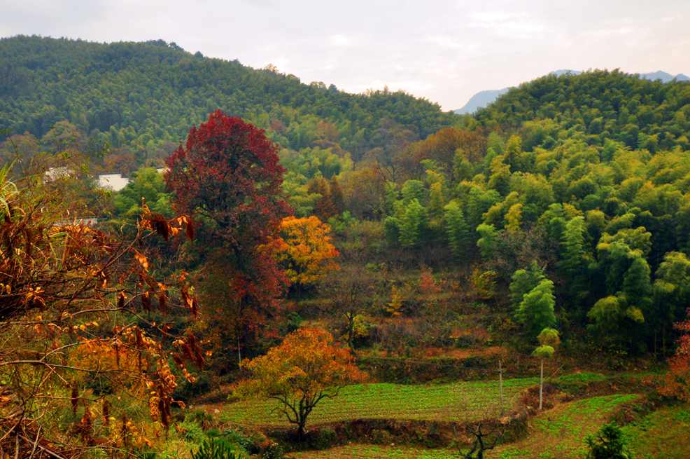 DSC_0302.JPG