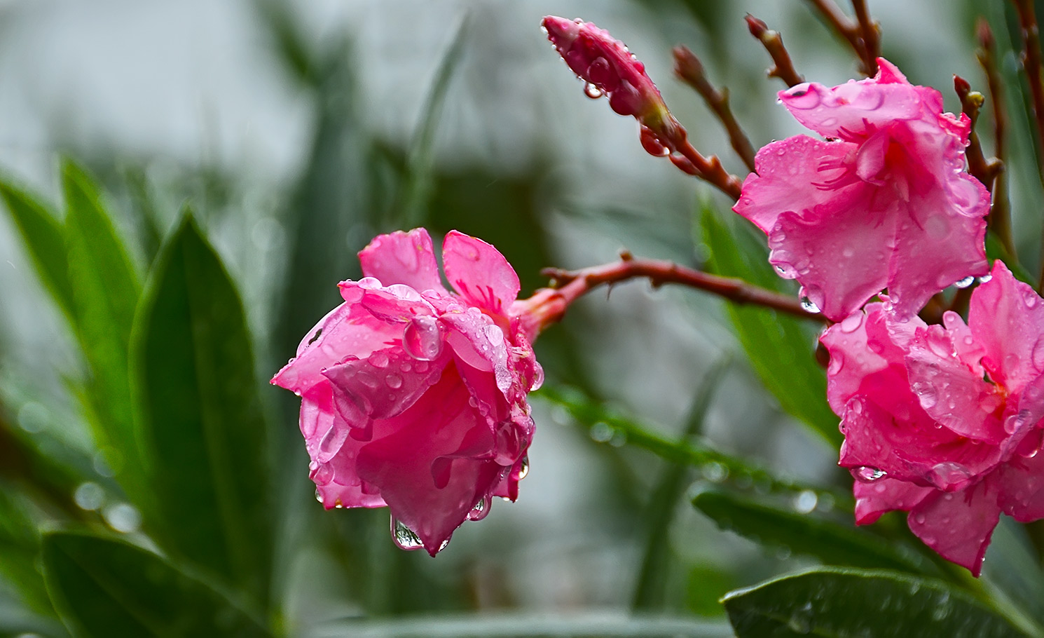 DSC_0007.jpg