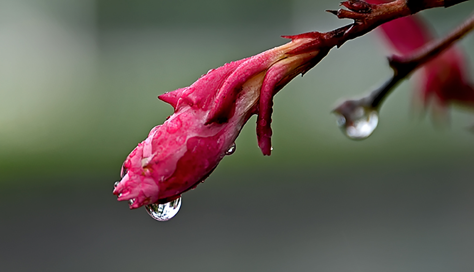 DSC_0014.jpg