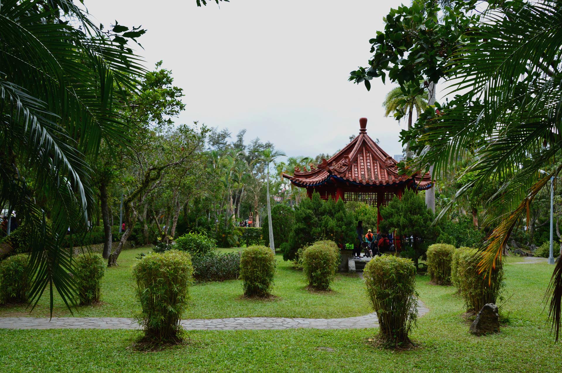DSC_0136.JPG