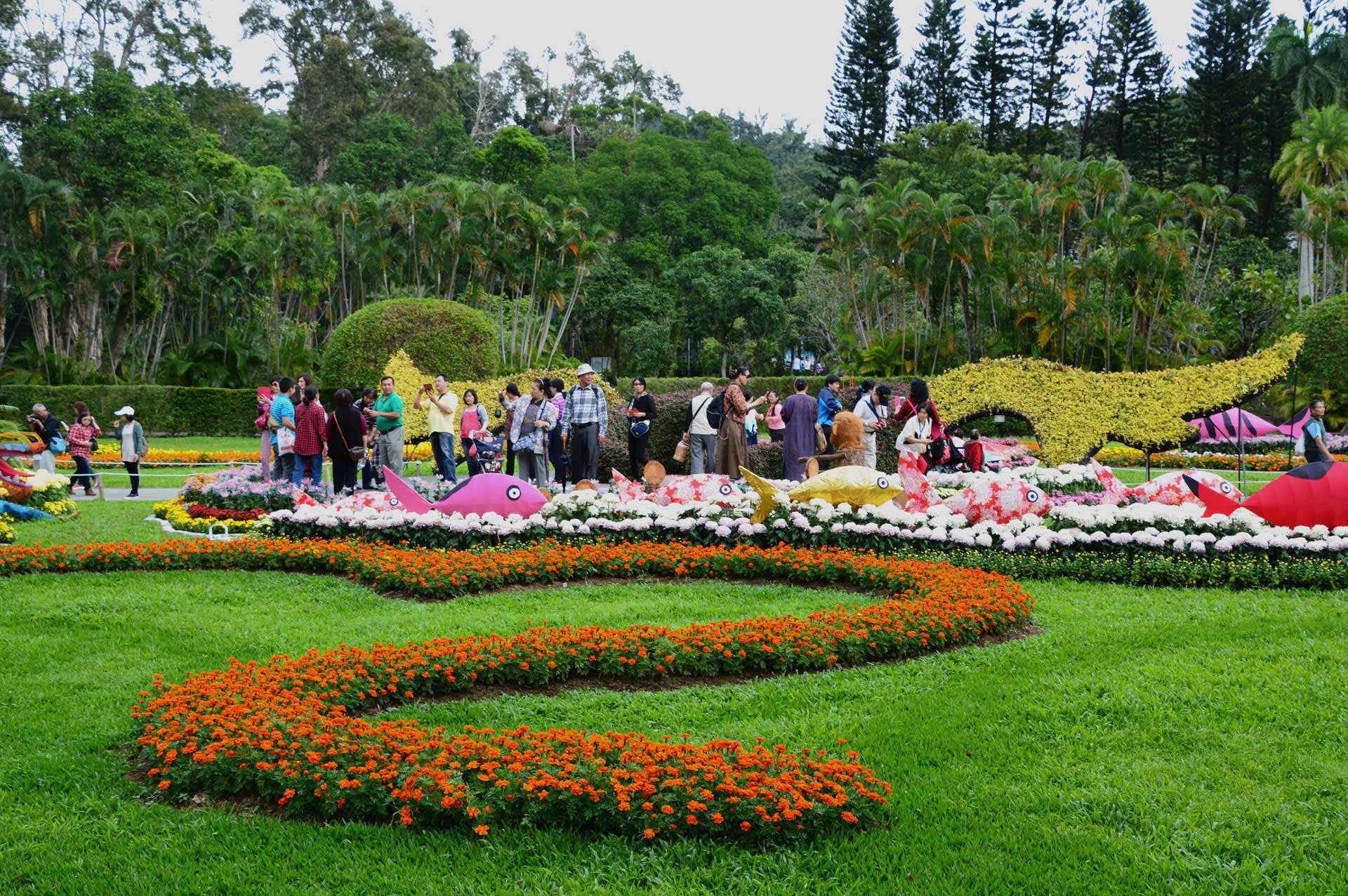 DSC_0233.JPG
