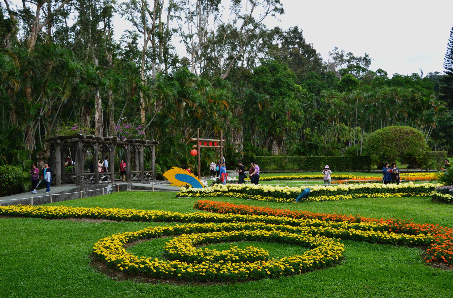 DSC_0235.JPG