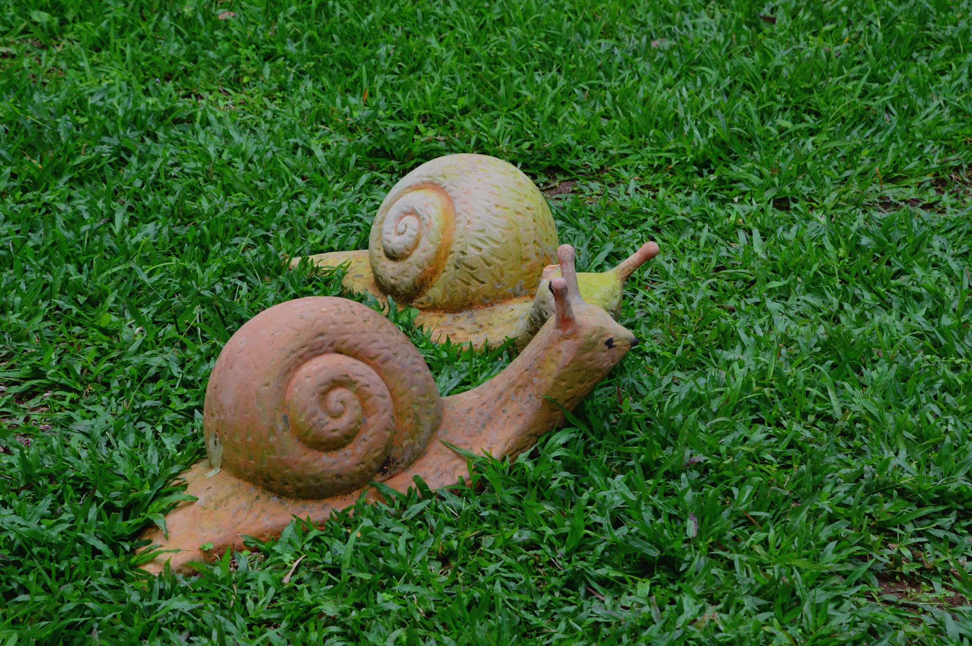 DSC_0123.JPG
