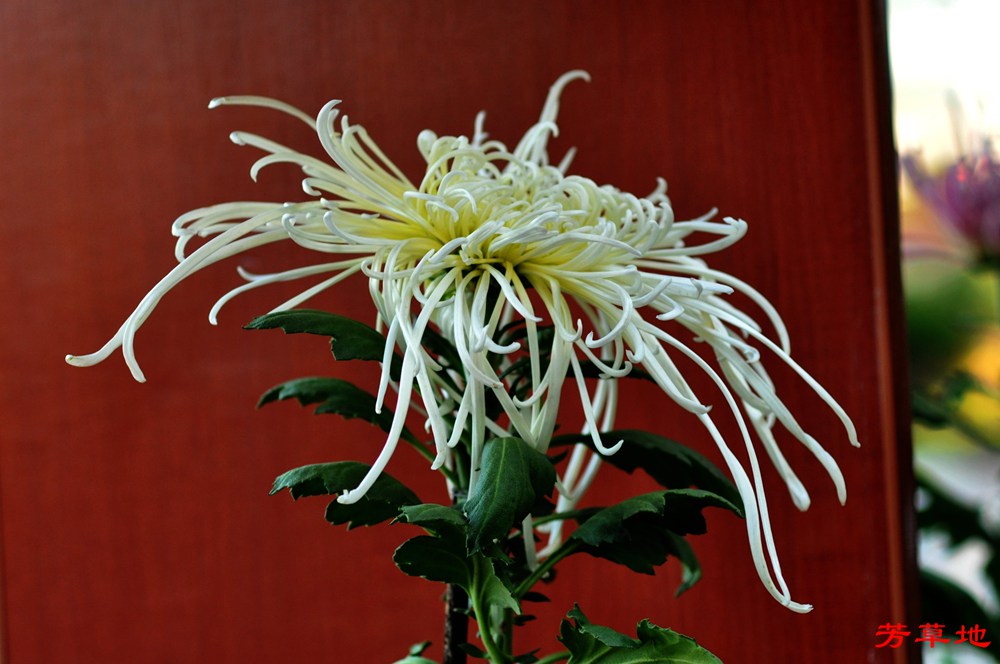 1=DSC_0400.jpg