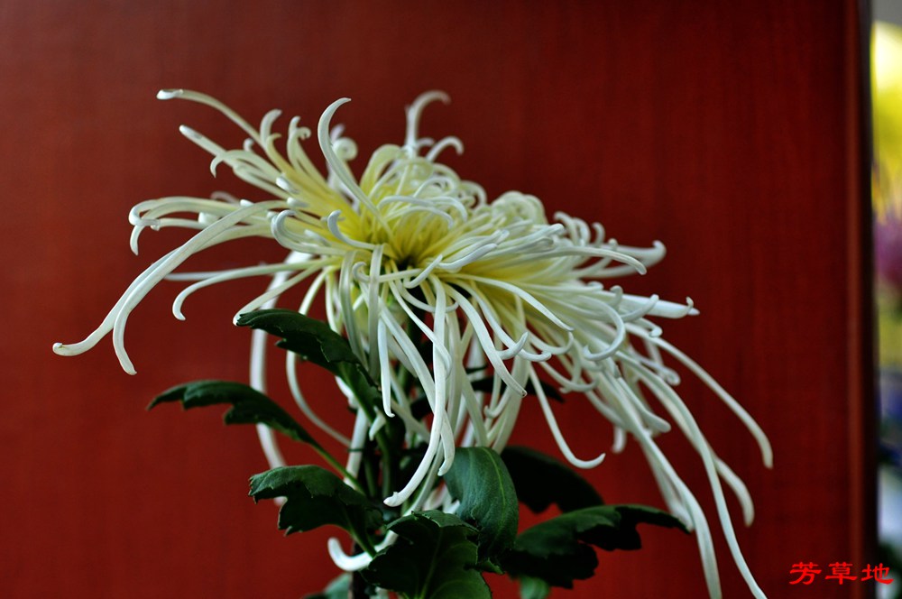 DSC_0401.jpg