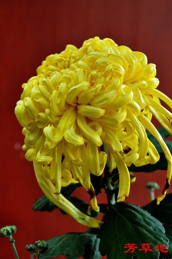 DSC_0402.jpg
