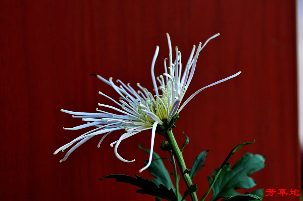 DSC_0404.jpg