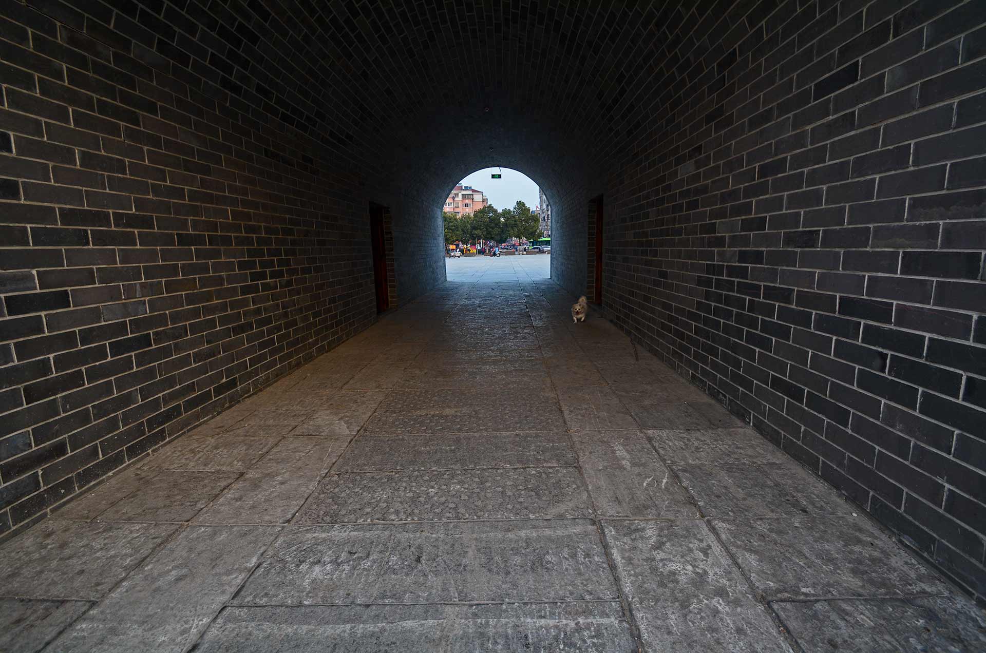 DSC_6307.jpg