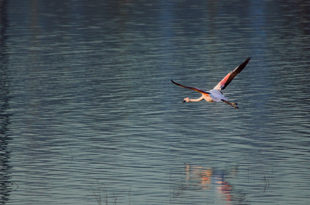 DSC_0591.jpg