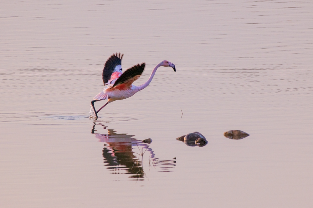 DSC_0583.jpg
