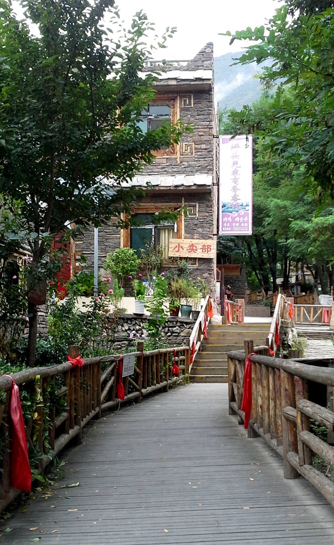 1 (15).jpg
