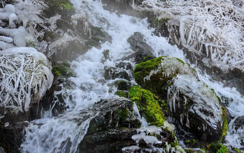 DSC_7242.jpg
