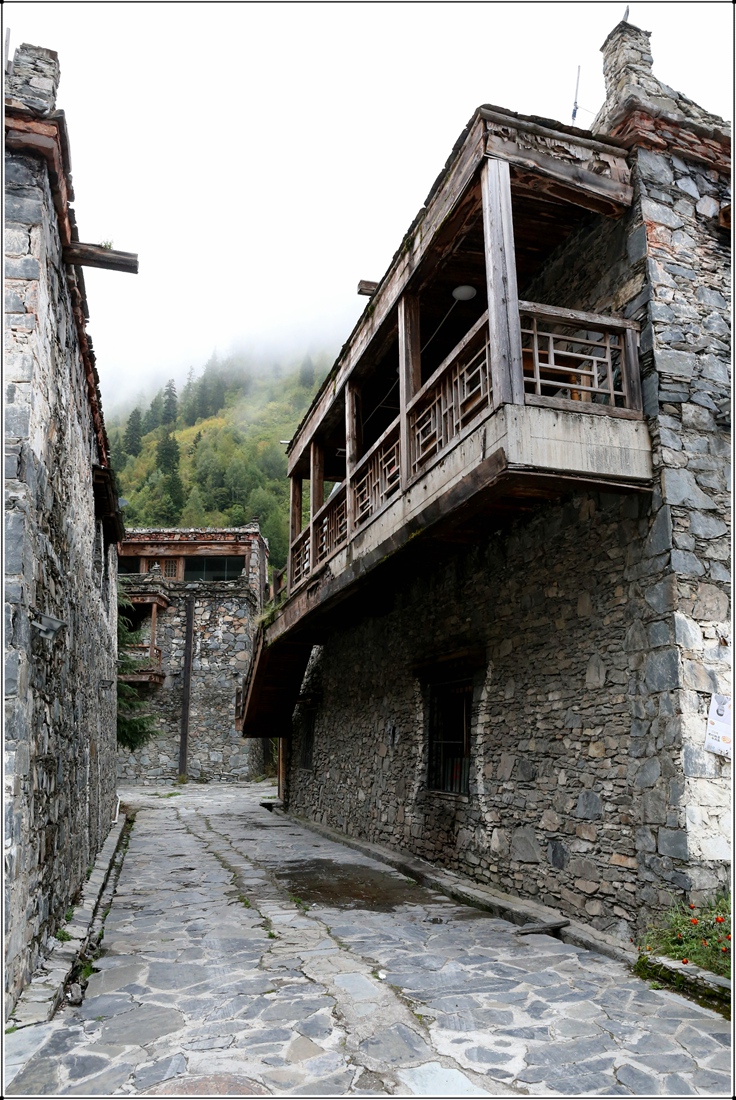 1 (29).jpg