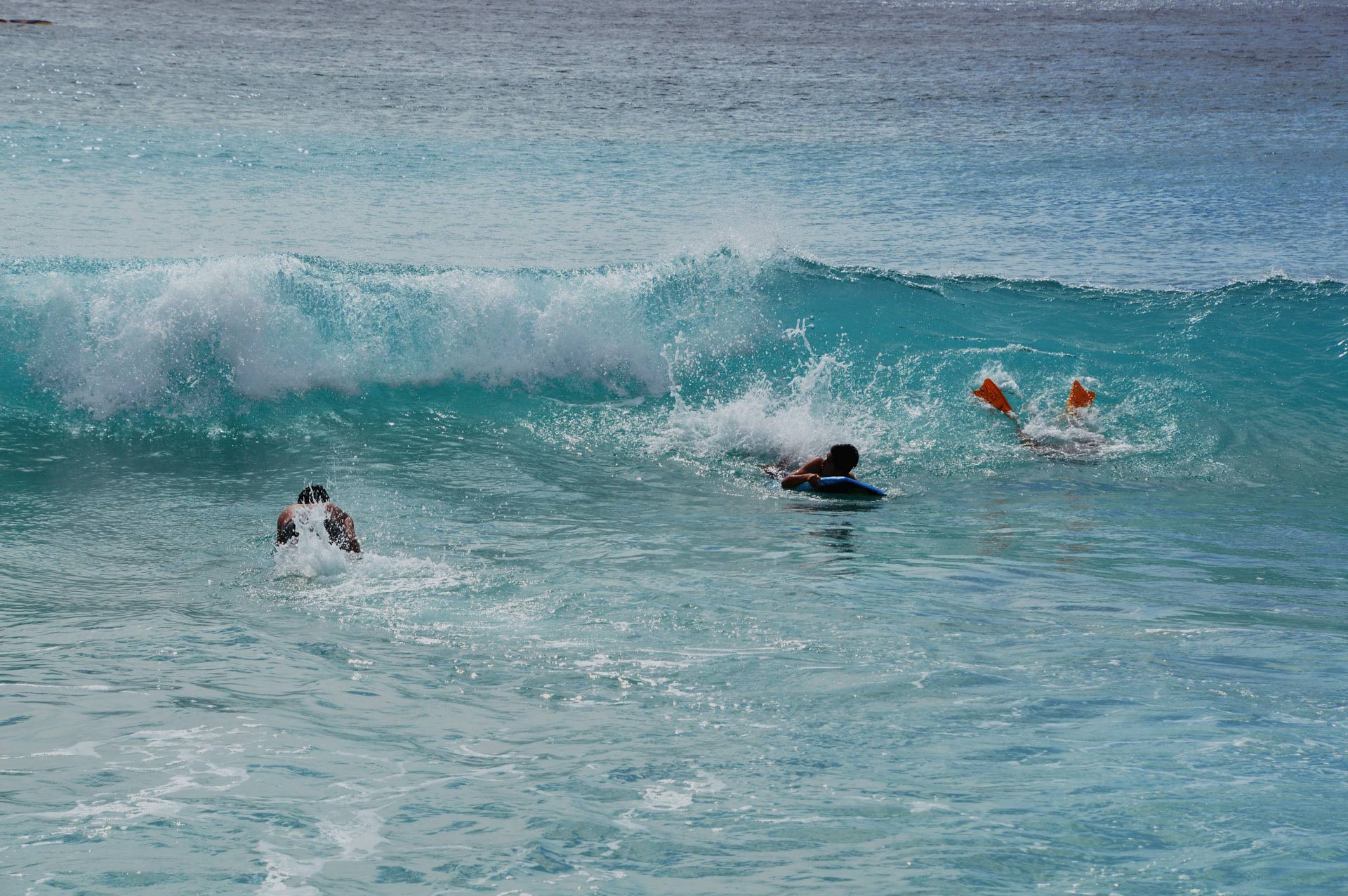 DSC_0684.JPG