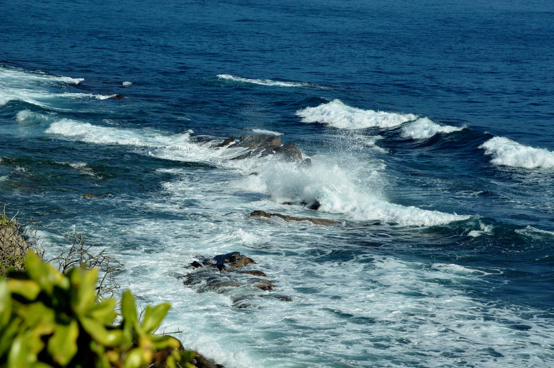 DSC_0001.JPG