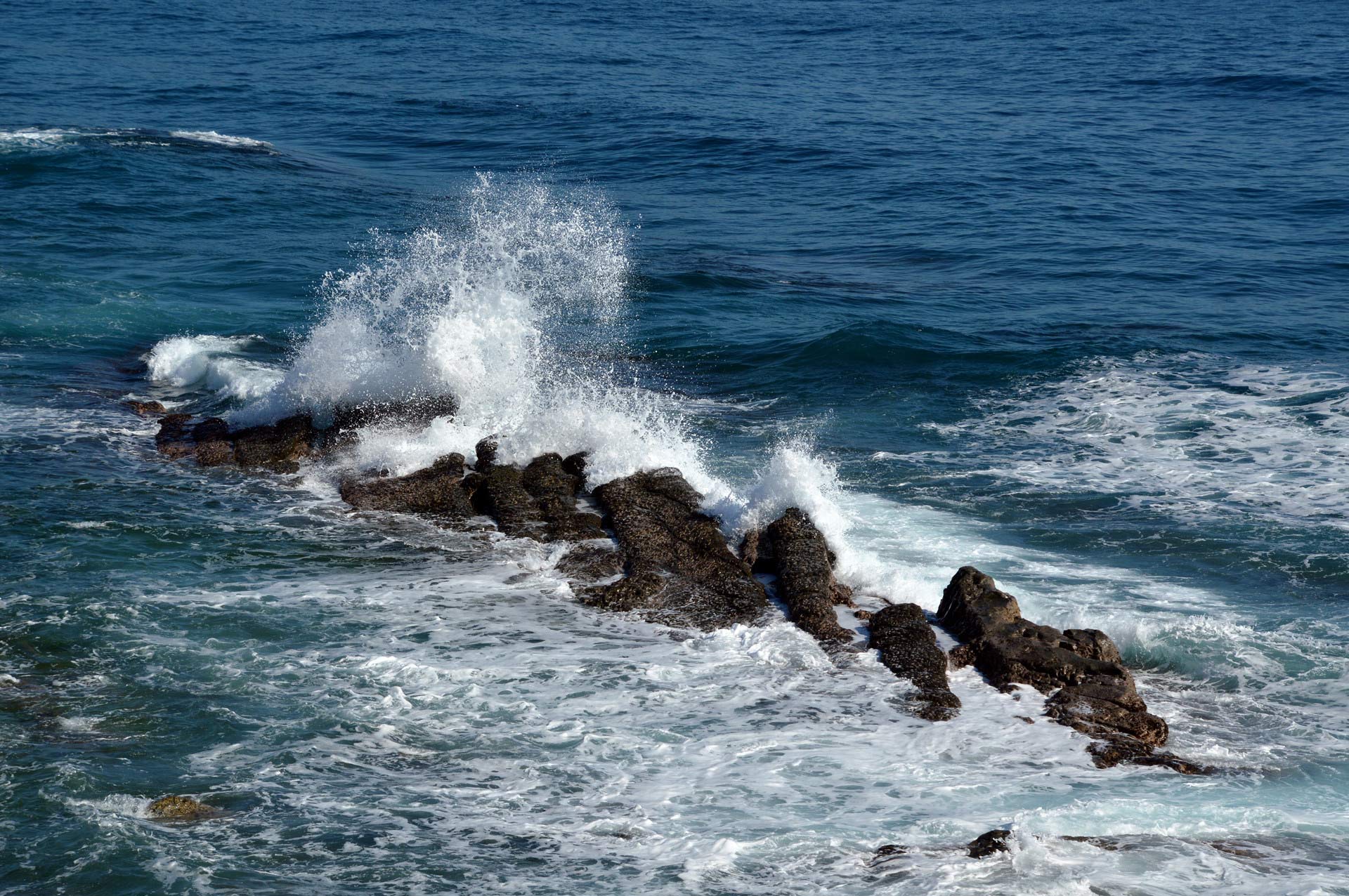 DSC_0008_.jpg