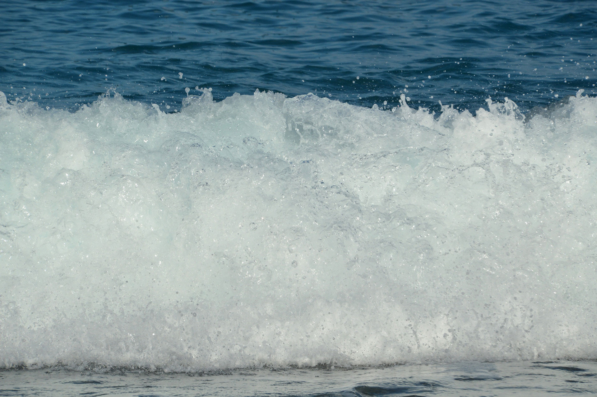 DSC_0220.JPG
