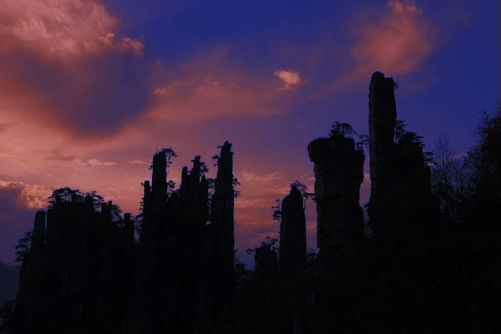 _U2A0119.jpg