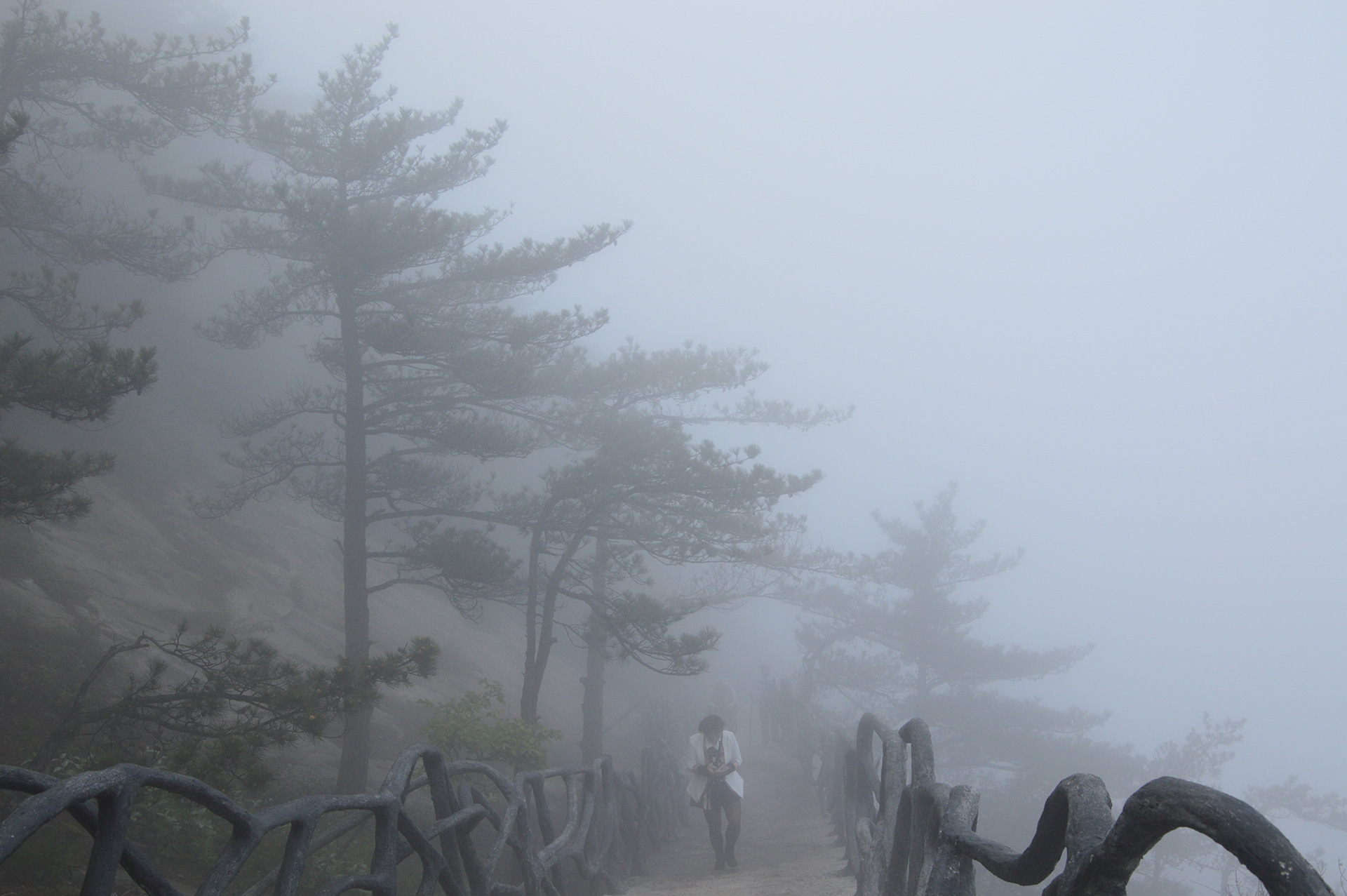 DSC_0052.JPG