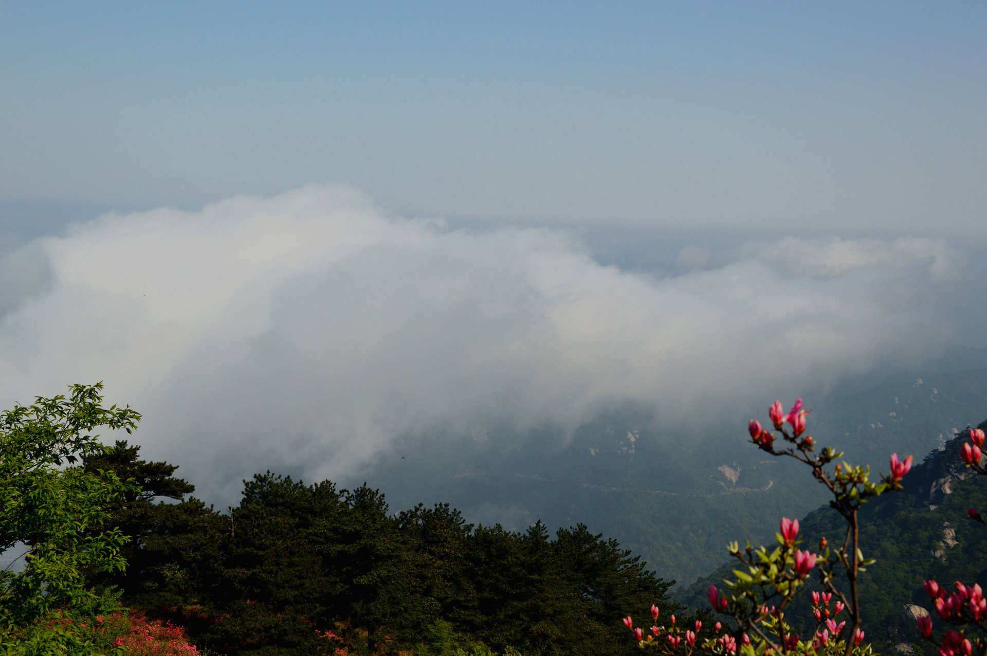 DSC_0165.JPG