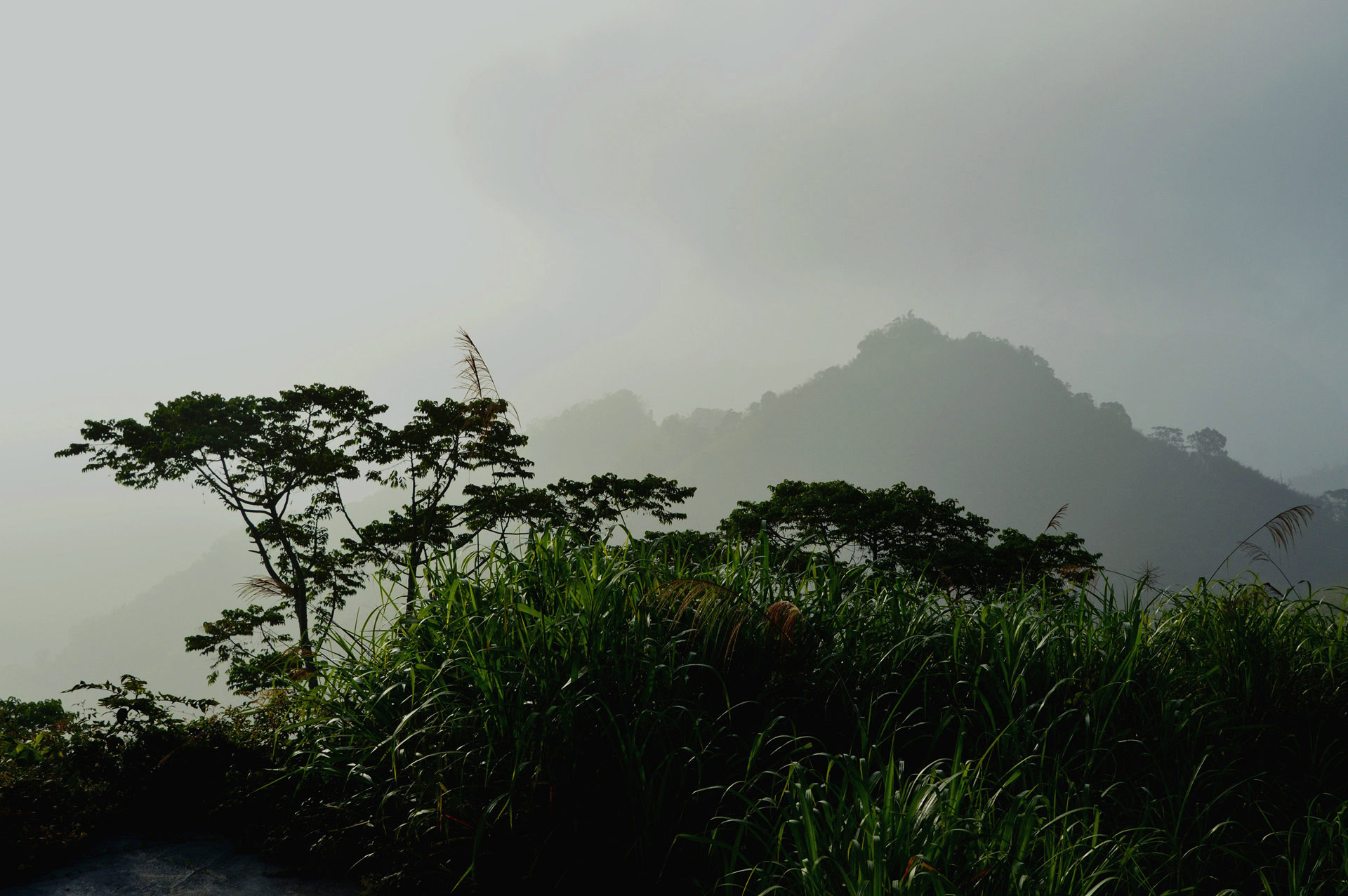 DSC_0170.JPG
