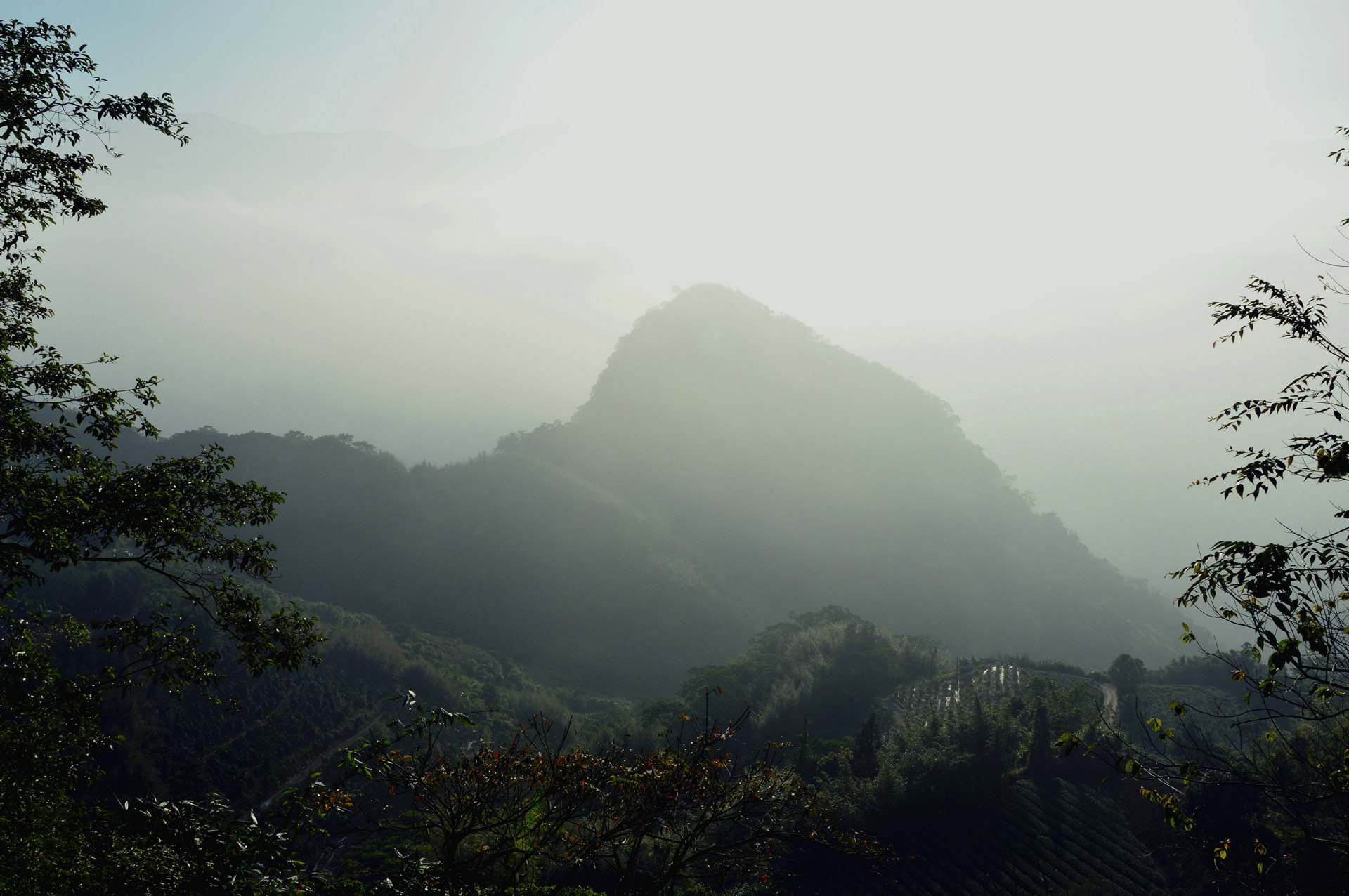 DSC_0194.JPG