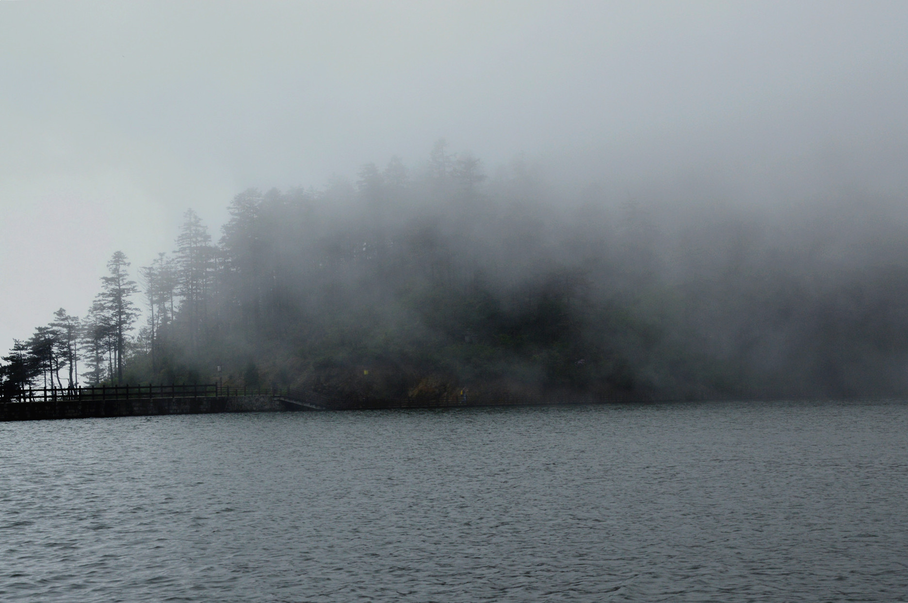 DSC_0800_.jpg