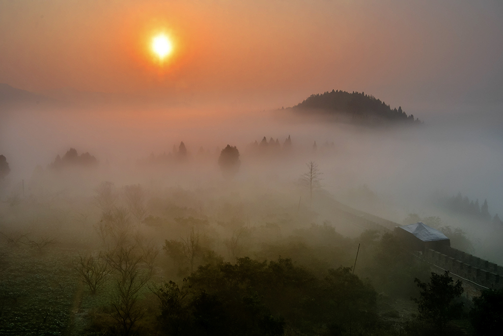 _ZY00599-2.jpg