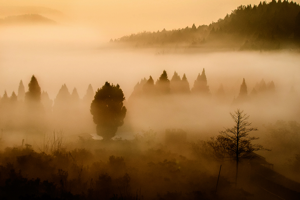 _ZY00623-2.jpg