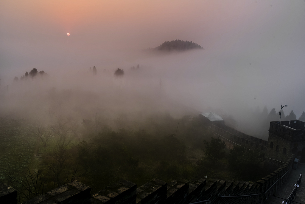 DSC_2545-2.jpg