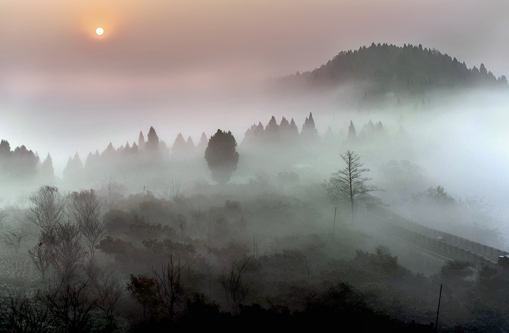 DSC_2583-2.jpg