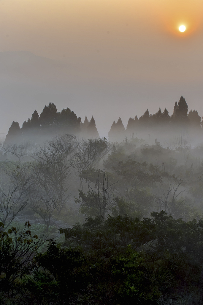 DSC_2587-2.jpg
