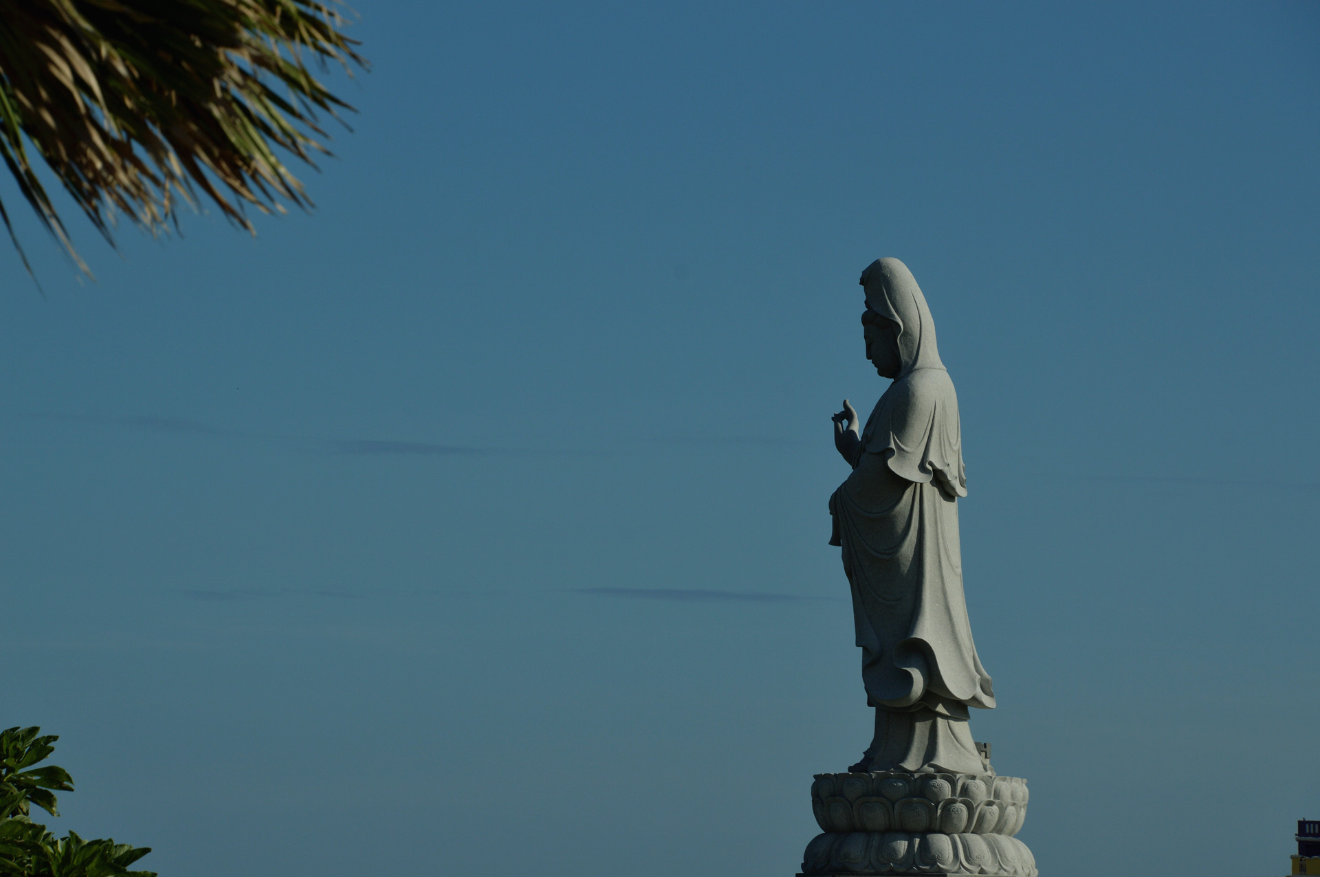 DSC_0169.JPG