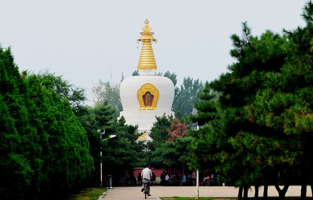 DSC_1649_副本.jpg