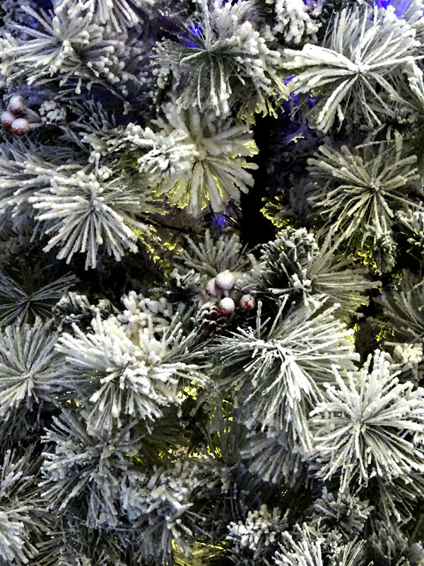 DSC02552_副本.jpg