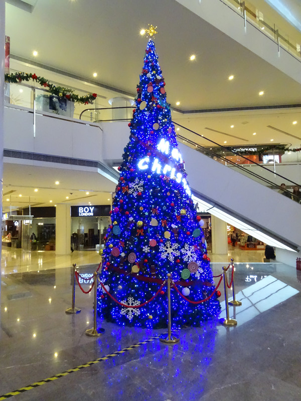 DSC02558_副本.jpg
