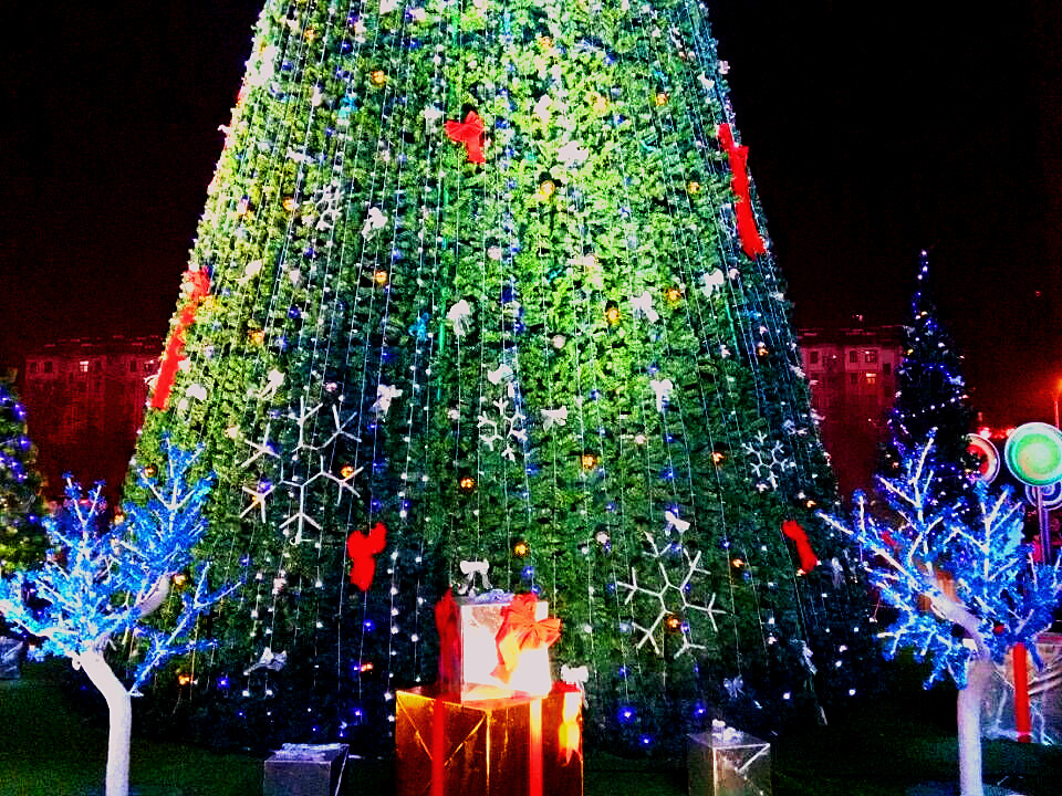 QQ图片20151224225151.jpg