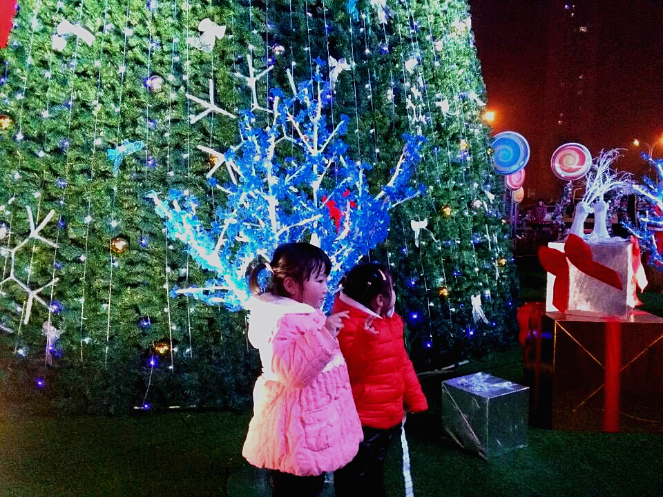 QQ图片20151224225136.jpg