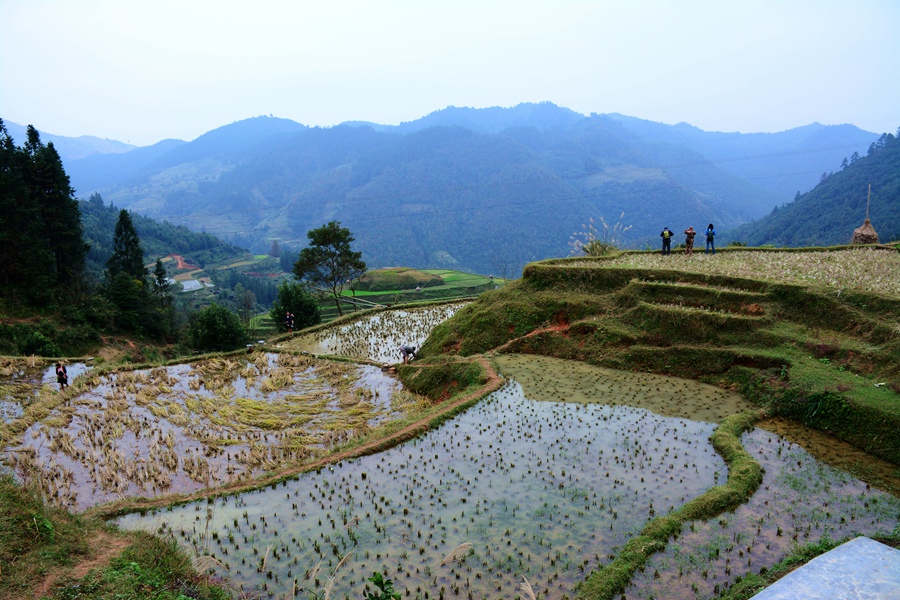 DSC_3346_副本_副本.jpg