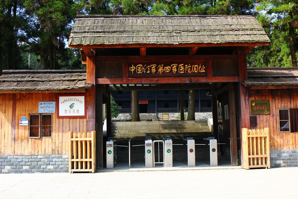 IMG_7788.jpg