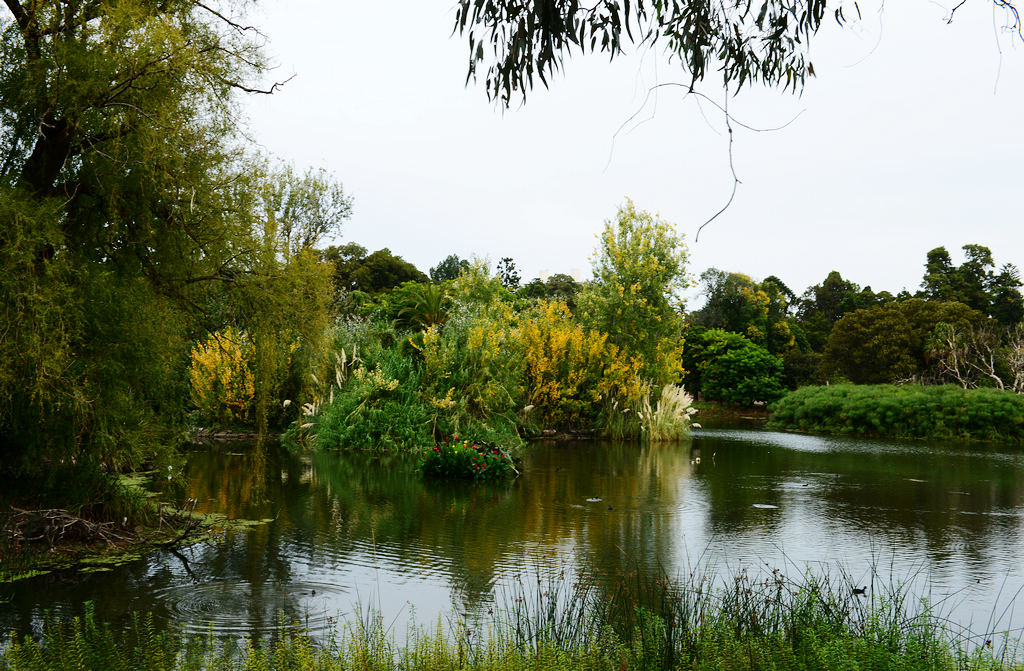 7DSC_4152.jpg