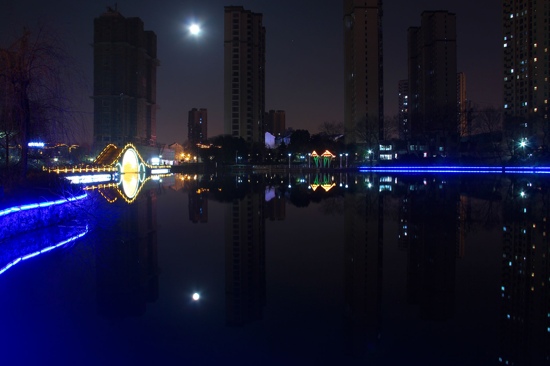 IMG_24831.jpg